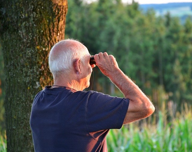 L'observation des oiseaux est une activité thérapeutique pour les personnes âgées